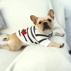 Collection image for: Pets vanity & Clothing
