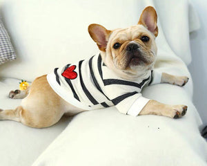 Collection image for: Pets vanity & Clothing
