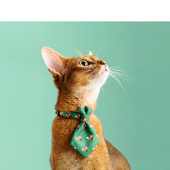 Collection image for: Pet's Care