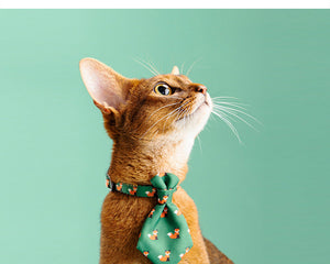Collection image for: Pet's Care