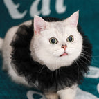 Black lace collar / M