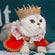Popular for cats