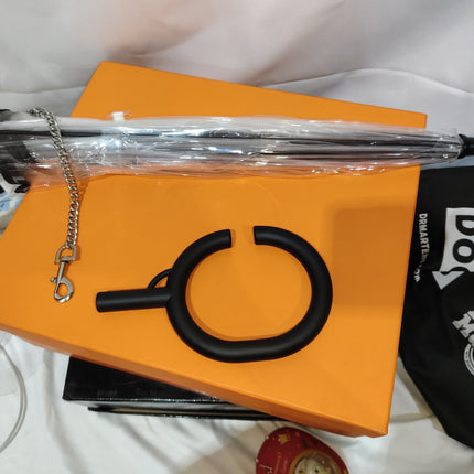Hot Selling Transparent Pet Supplies Adjustable Pet C Type Umbrella