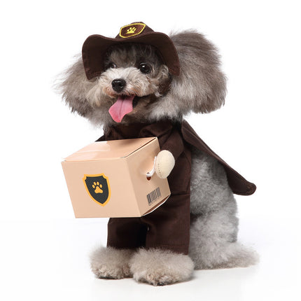 European And American Pet Vanity Clothing
