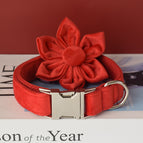 Ring and flowers / L