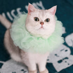 Green lace collar / M