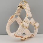 Harness gold buckle / L