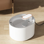 Ore White Regular Edition / USB