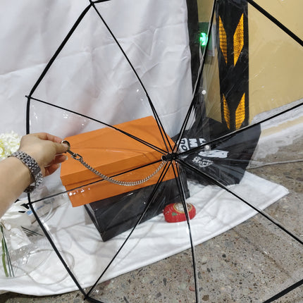 Hot Selling Transparent Pet Supplies Adjustable Pet C Type Umbrella