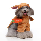 PF74 Brown Rabbit / L