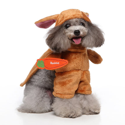 European And American Pet Vanity Clothing