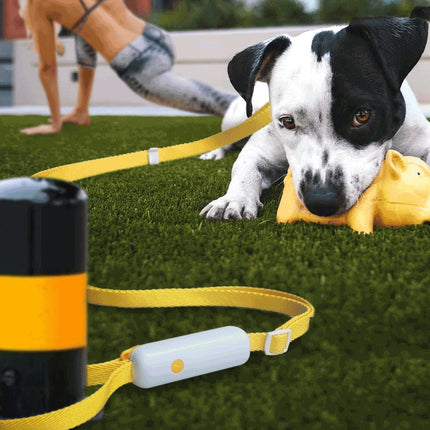 Pet Supplies Retractable Adjustable Dog Leash